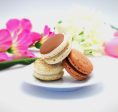 Assorted  French Macarons | Nutella, Macchiato and Cinnamon Buttercream Macarons | Available in 48 and 96 Pack Discount