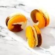 50 Pack Pumpkin Spice Latte French Macaron Value Pack Sale