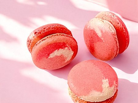 6 Pack Raspberry Ombre French macarons Supply