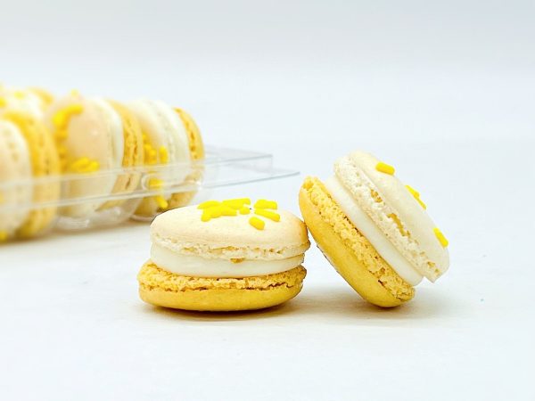 6 Pack Eggnog French Macarons Online now