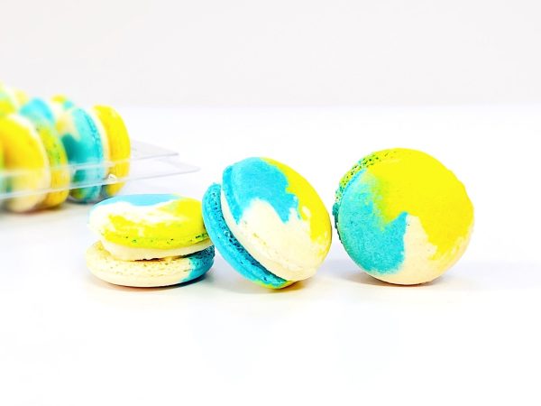 6 Pack Doraemon Inspired French Macaron | Vanilla Custard Macarons Online now