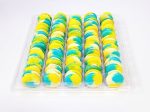 50 Pack Vanilla Custard French Macaron Value Pack Supply