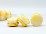 6 Pack Eggnog French Macarons Online now