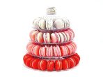 4 x 24 | Surprise Me! French Macaron (96 Assorted French Macaron) Hot on Sale