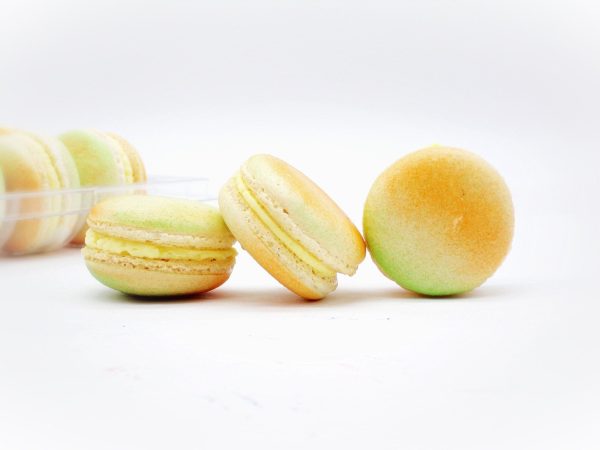 50 Pack Pineapple  French Macaron Value Pack Fashion