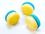 6 Pack Honey Elderflower French Macarons Online Hot Sale