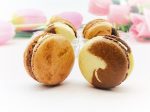 6 Coffee & Macchiato Macarons Value Pack Discount