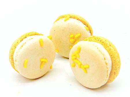 6 Pack Eggnog French Macarons Online now