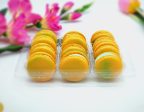 6 Pack Mango French Macarons | Perfect for your next celebratory events. on Sale