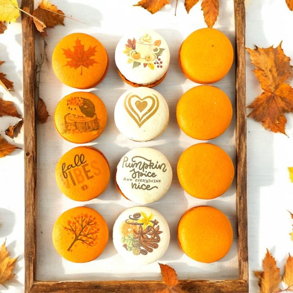 Autumn Vegan Macaron Trio – Pumpkin Spice, Maple Pumpkin, Chocolate Pumpkin Delight For Sale