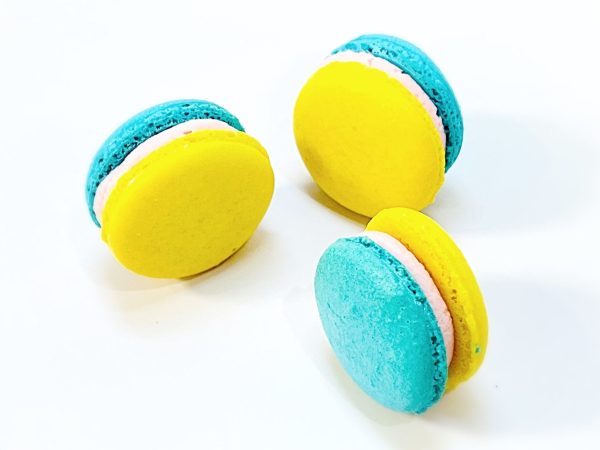 50 Pack Elderflower French Macaron Value Pack For Discount