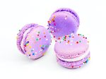 6 Pack Purple Birthday (Blueberry Pomegranate) French Macarons Online