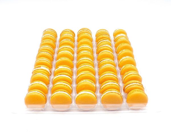 50 Pack Pumpkin  French Macaron Value Pack Fashion