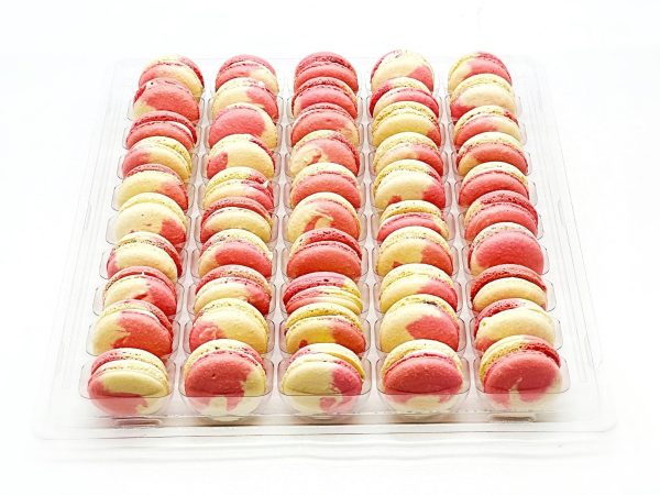 50 Pack White Chocolate Berries French Macaron Value Pack Discount