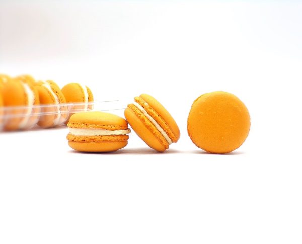 50 Pack Pumpkin  French Macaron Value Pack Fashion