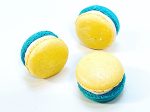 6 Pack Honey Elderflower French Macarons Online Hot Sale