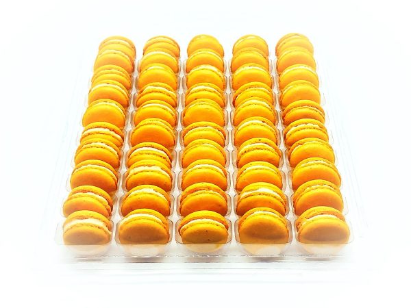 50 Pack Orange Cream  French Macaron Value Pack Fashion