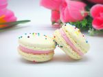 6 Pack Assorted  Macarons | Milk Chocolate, Vanilla and Birthday Cake Macarons Cheap