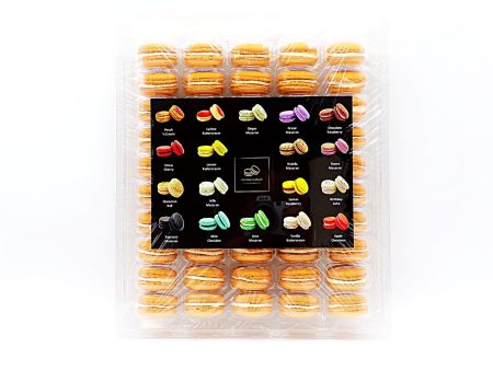 50 Pack Pumpkin  French Macaron Value Pack Fashion