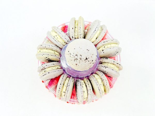 4 x 24 | Surprise Me! French Macaron (96 Assorted French Macaron) Hot on Sale