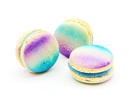 Blueberry n Prune French Macarons | Available in 6, 12 and 24 Pack For Cheap