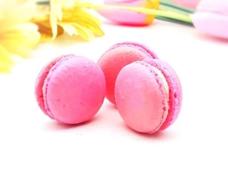 6 Pack  raspberry French macarons Online