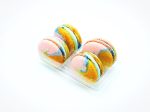 Agave Vegan Macarons Online Sale