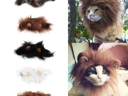 Pawsome Lion Headpiece Online Sale